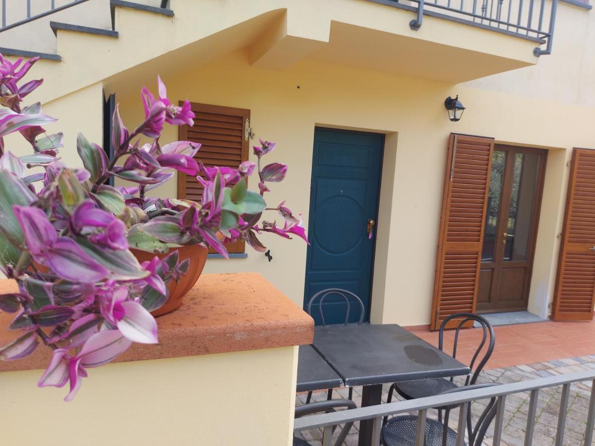 San Rocco Appartamenti - Appartamento La Vite Asciano Pisano Exteriör bild